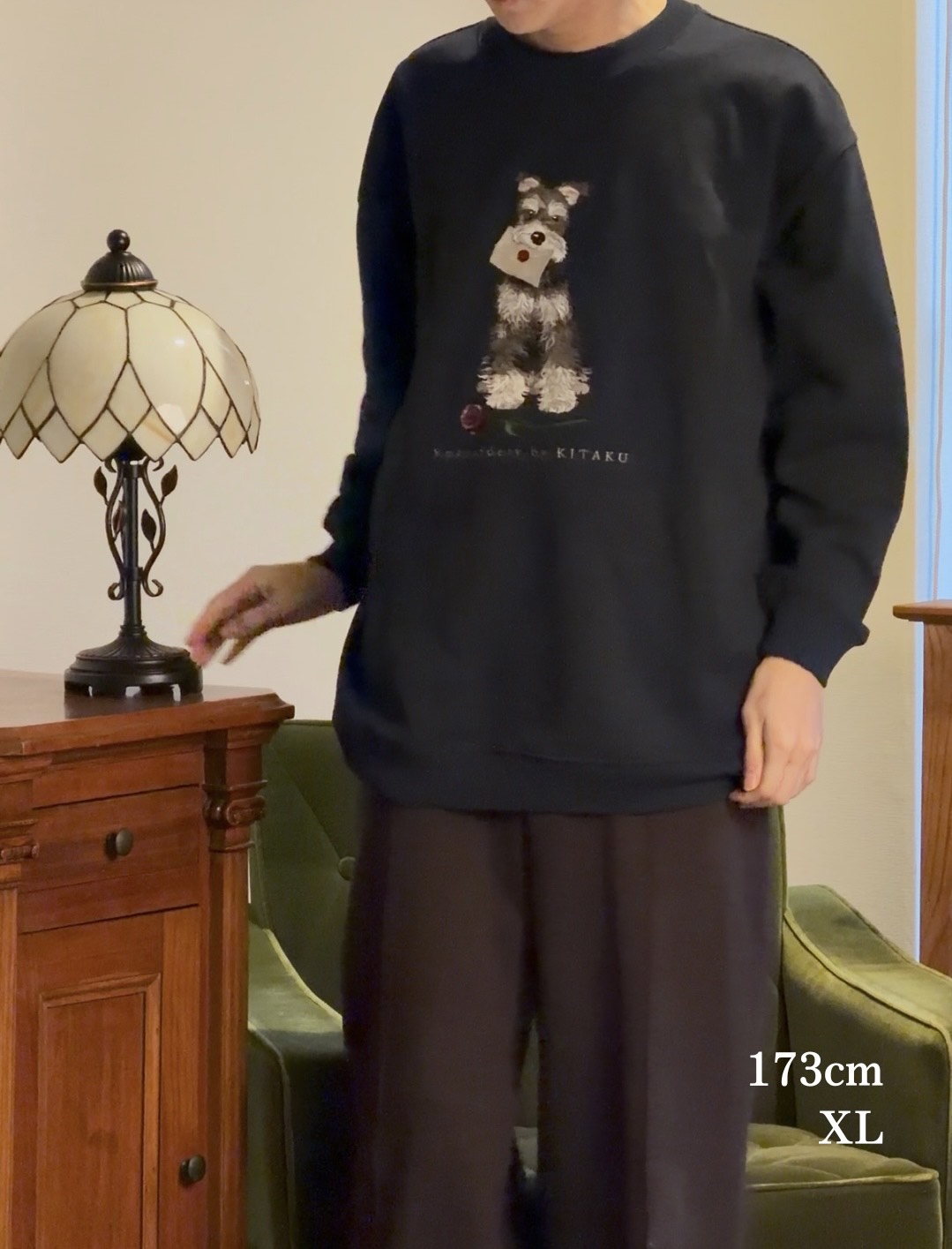 【新作】シュナウザーの伝言