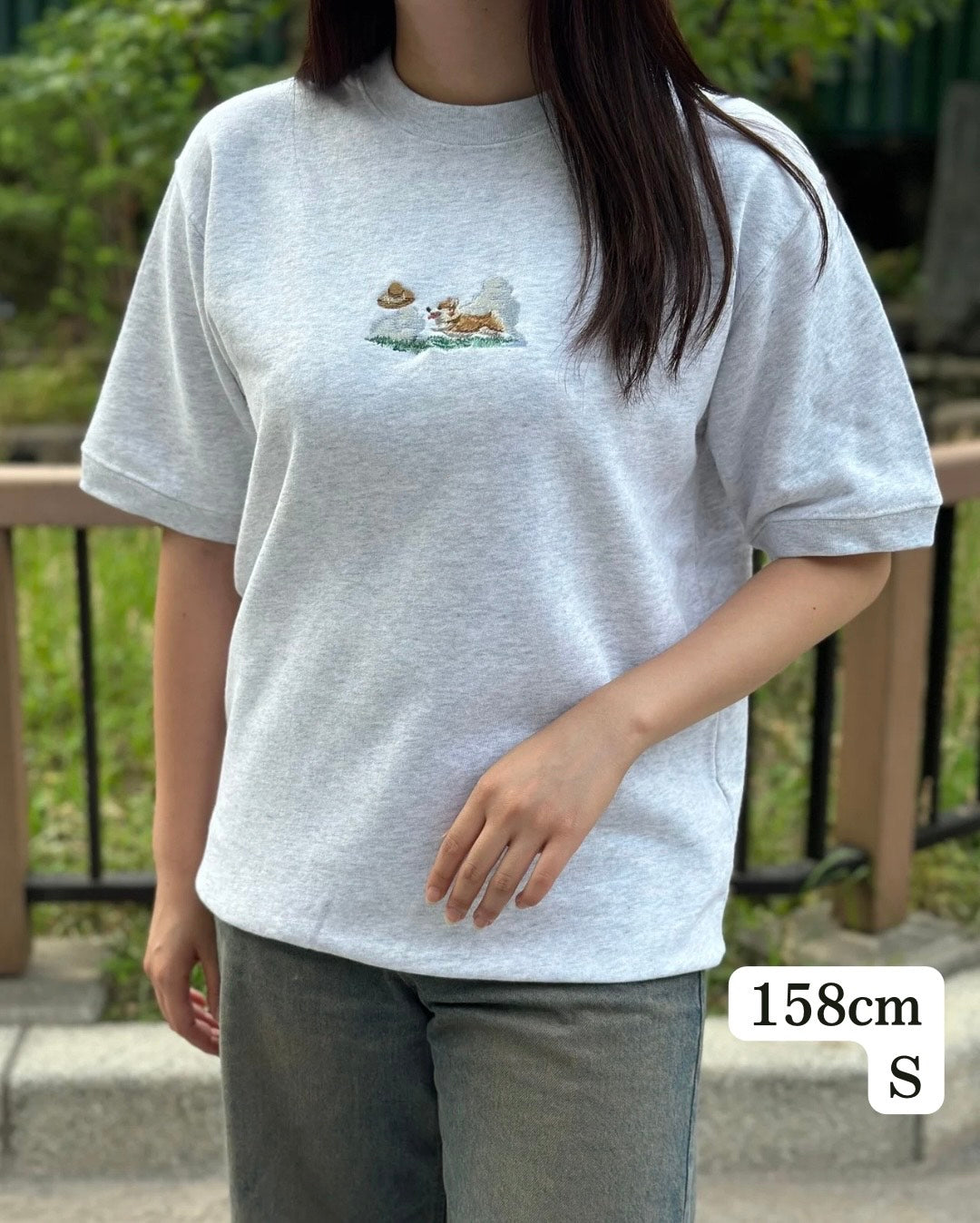 【新作】コーギーとお散歩