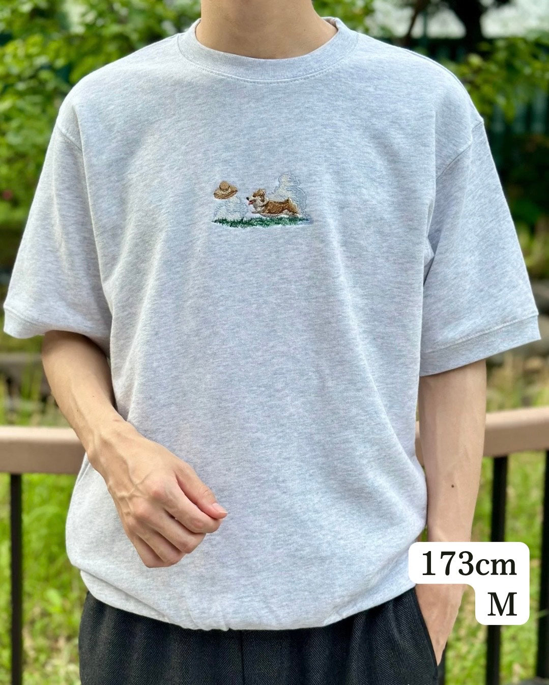 【新作】コーギーとお散歩