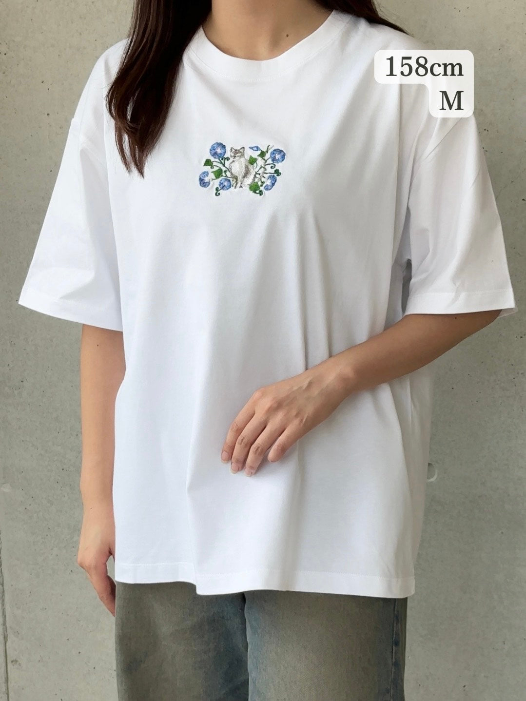 【新作】朝顔と猫