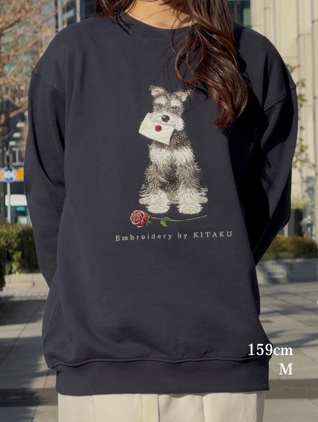 【新作】シュナウザーの伝言