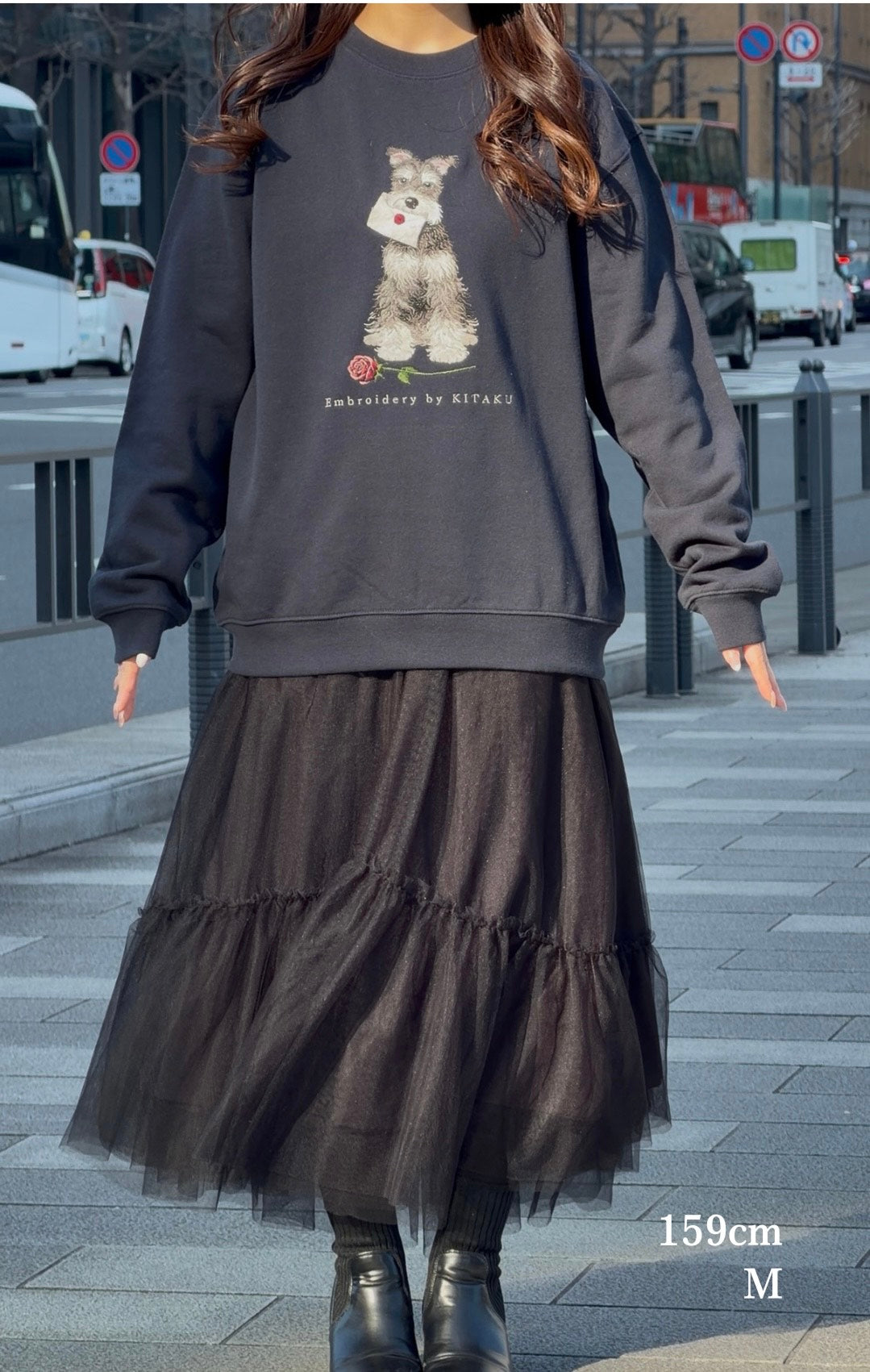 【新作】シュナウザーの伝言