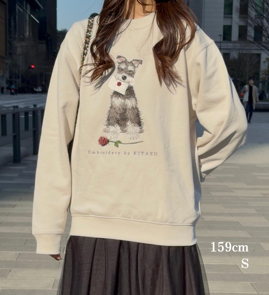 【新作】シュナウザーの伝言