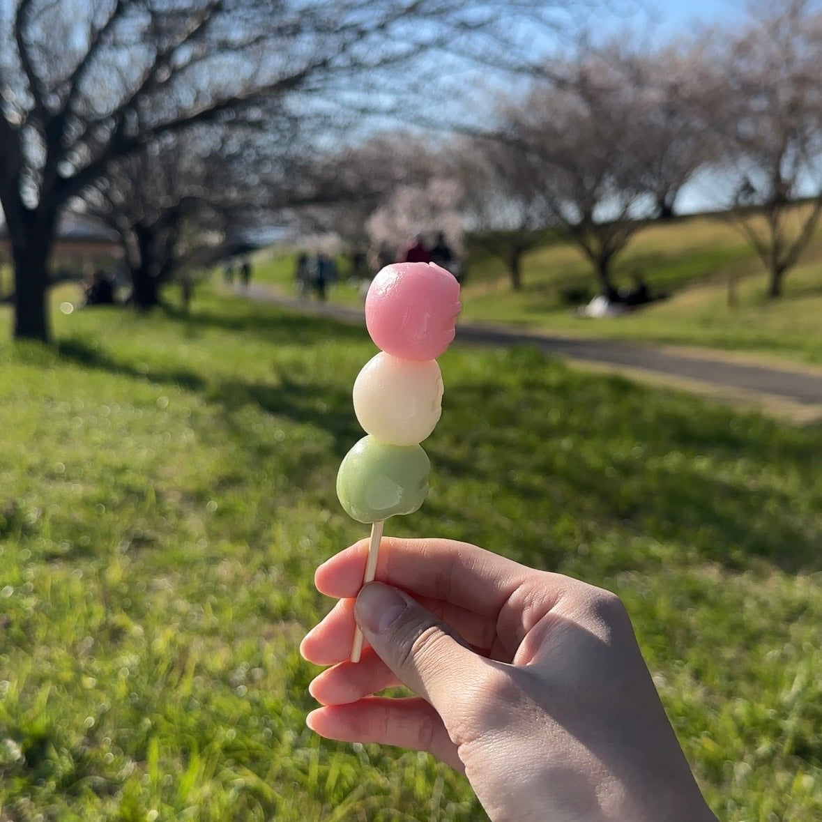 春を探す蝶（半袖）