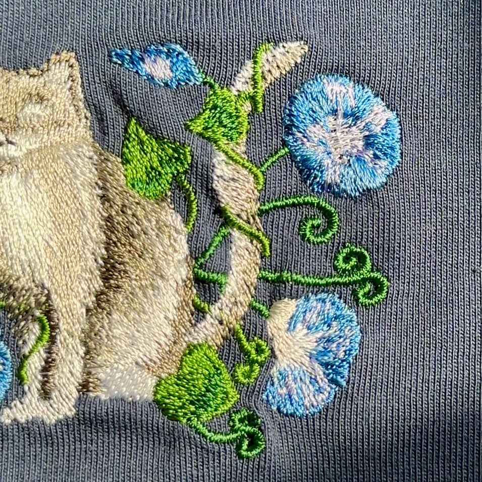 【新作】朝顔と猫